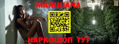 шишки Кинель