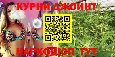 гашик Кимры