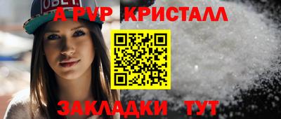 дурь Кингисепп